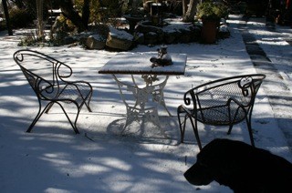 Table in Snow Garden
